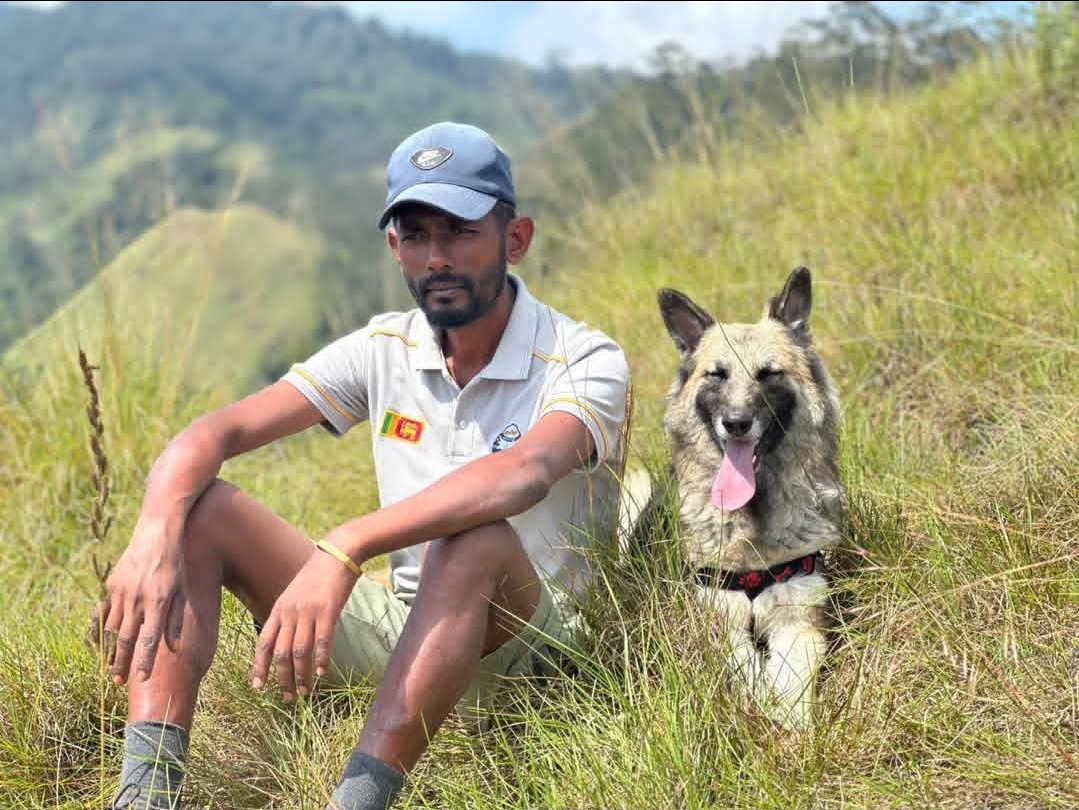 Sri plus villa Cabana Mandaramnuwara